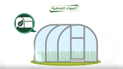 منتج البيوت المحمية