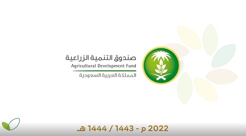 التقرير السنوي 2022